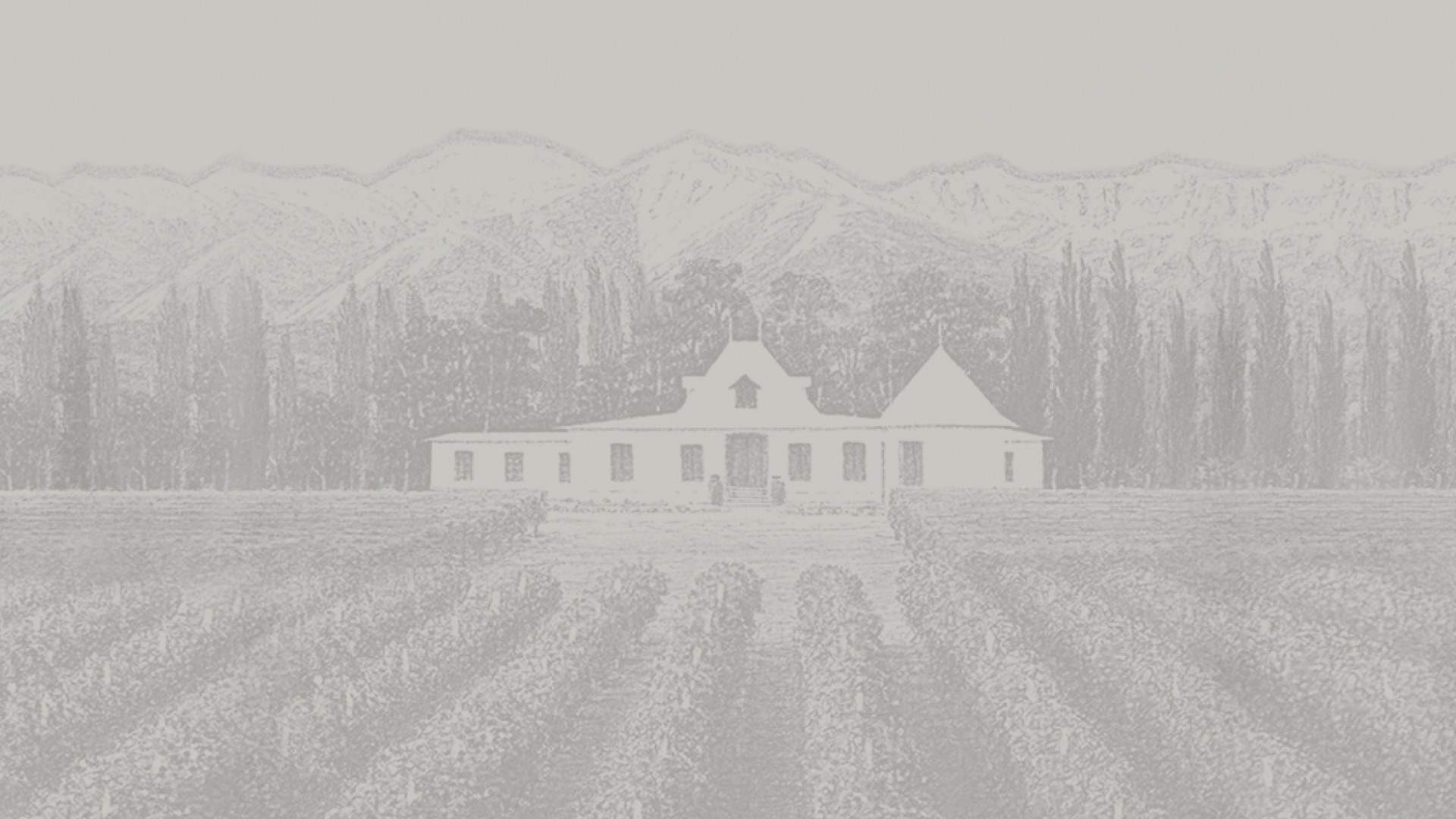 Mountains and wineyard drawing background